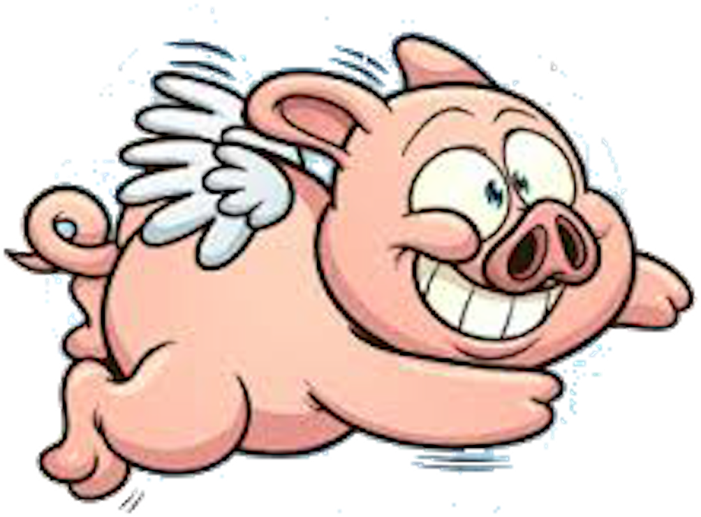Flappy Pig Adventure - Fly Pig Icon Png (1024x1024)
