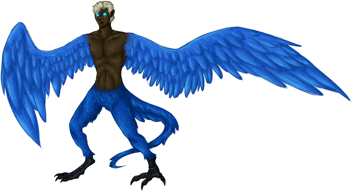 Mountain Bluebird Drawing - Mountain Bluebird (1207x661)