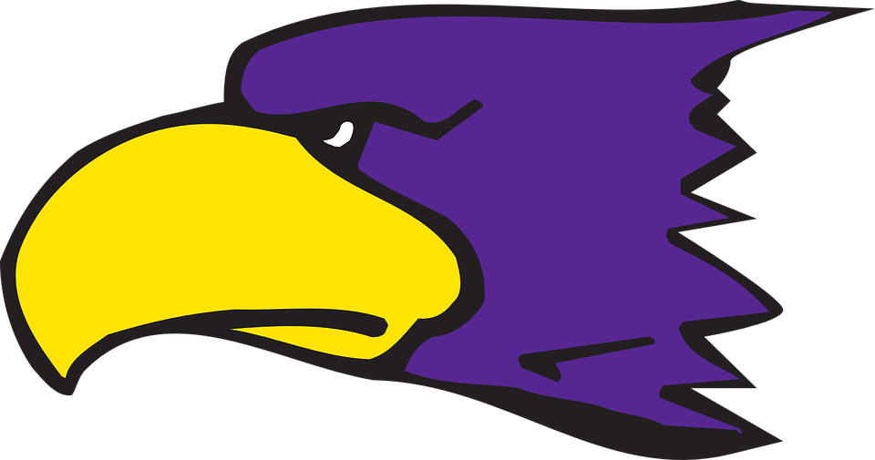 Cartoon Pictures Of Turkeys 16, - Clip Art Of Beak (960x505)