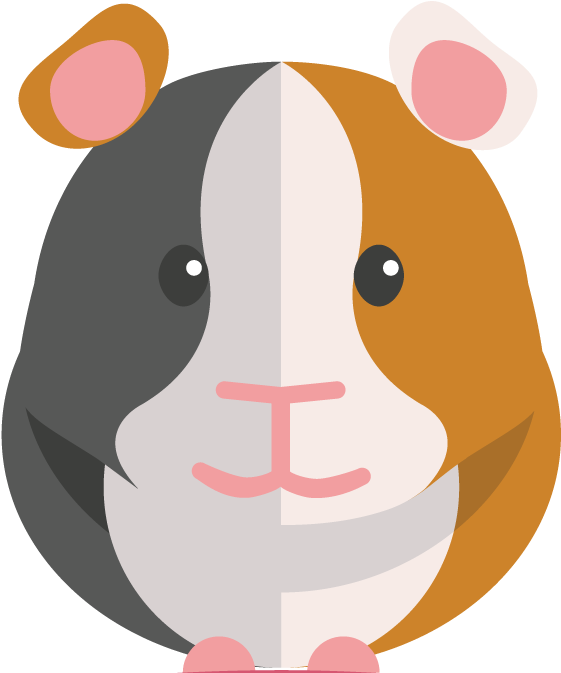 Guinea Pig Clipart Png - Clipart Guinea Pig (708x708)