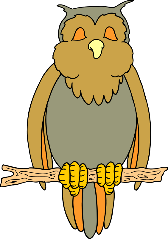 Cartoon Bird 12 Free Vector - Clipart Owl Sleeping (564x800)