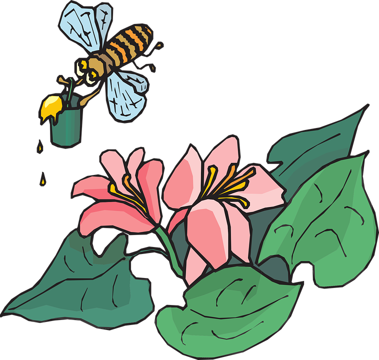 Nectar Clipart Bee Flower - Bees And Pollen Clipart (758x720)