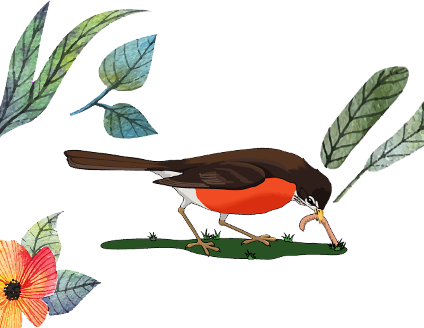 Cartoon Bird 1433*1200 Transprent Png Free Download - Cartoon Bird 1433*1200 Transprent Png Free Download (1433x1200)