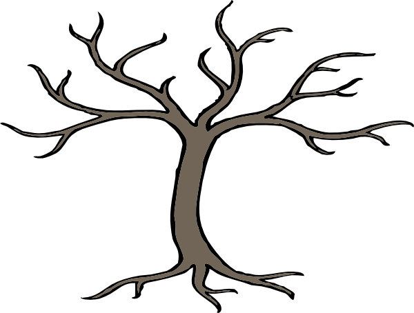 Tree With Branches Drawing (600x454)