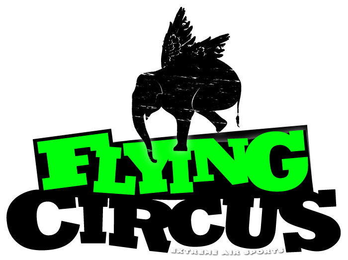 Flying Circus (700x523)