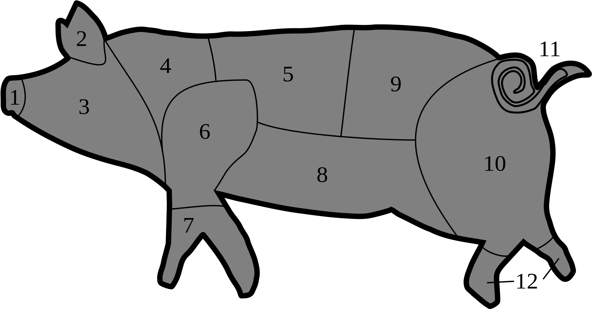 Italian Pork Cuts - Pork Belly On Pig (2000x1011)