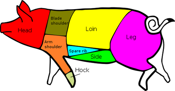 Pork Cutting Form - Primal Cuts Of Pork (559x290)