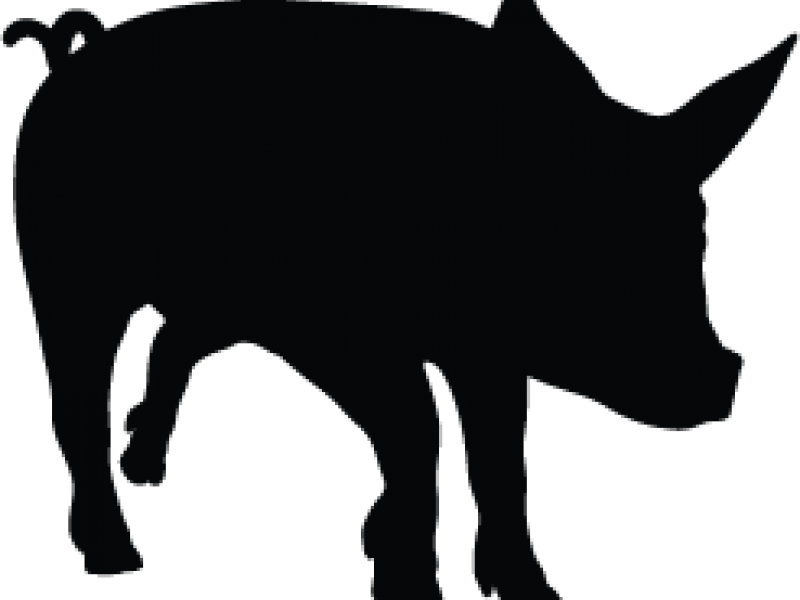 Dietary Sodium Butyrate Maintains Gut Integrity - Pig Black Png (800x600)