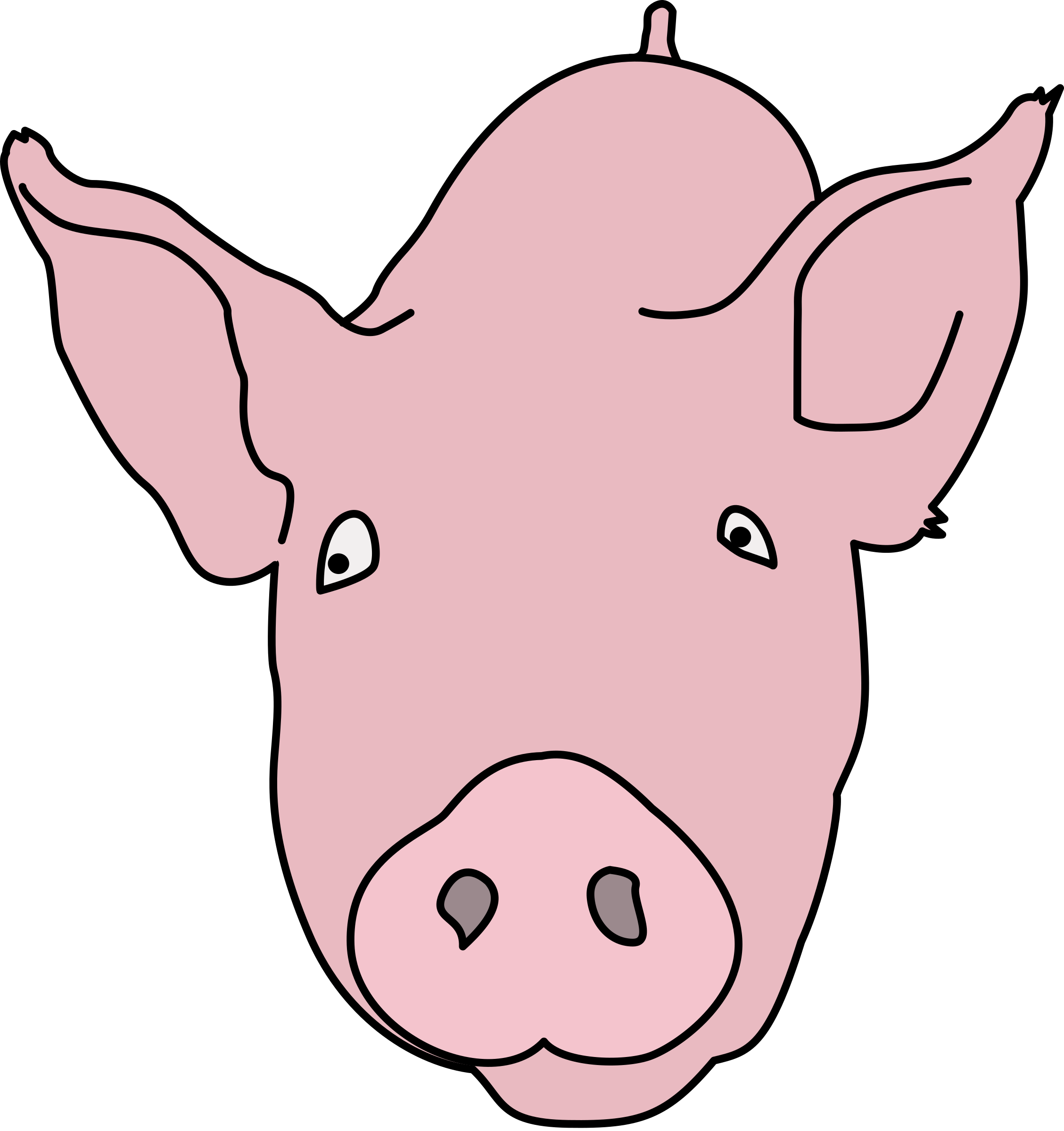 Big Image - Colour Of A Pig (2257x2400)