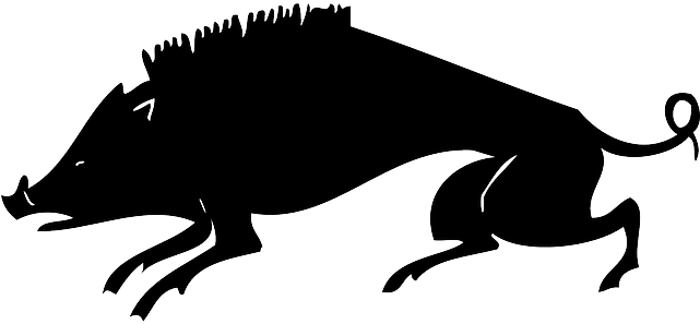Wild Boar, Wild Pig, Pig, Animal, Hog, Black - Boar Clipart (640x320)