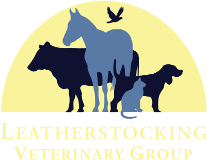 Logo - Veterinary Logo Png (500x336)