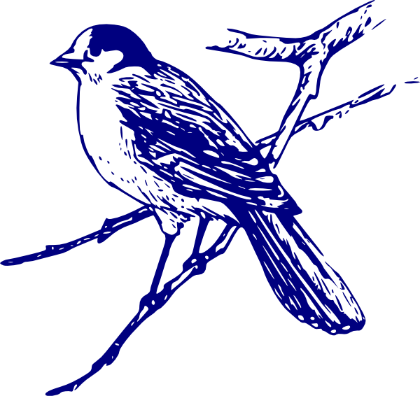 Tit - Clipart - Blue Bird Images Free (600x566)