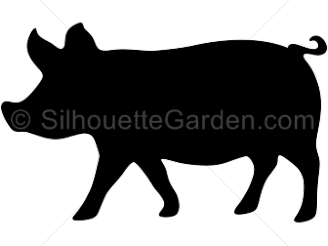 Pig Silhouette Images - Silhouette Of A Pig (640x480)