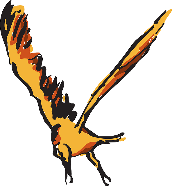 Feathers Red, Orange, Bird, Flying, Wings, Art, Animal, - นก สี ส้ม เต็มตัว (592x640)