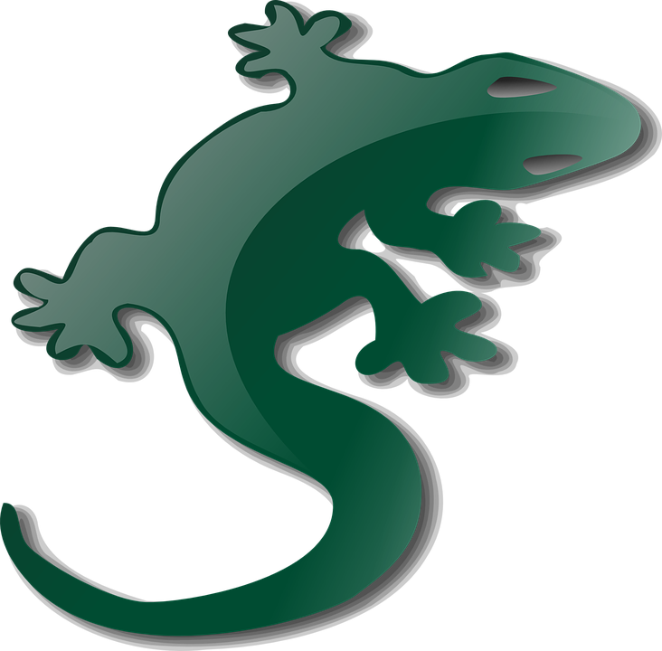 Salamander Clipart Green Lizard - Krokodile Cliparts Transparent Background (732x720)