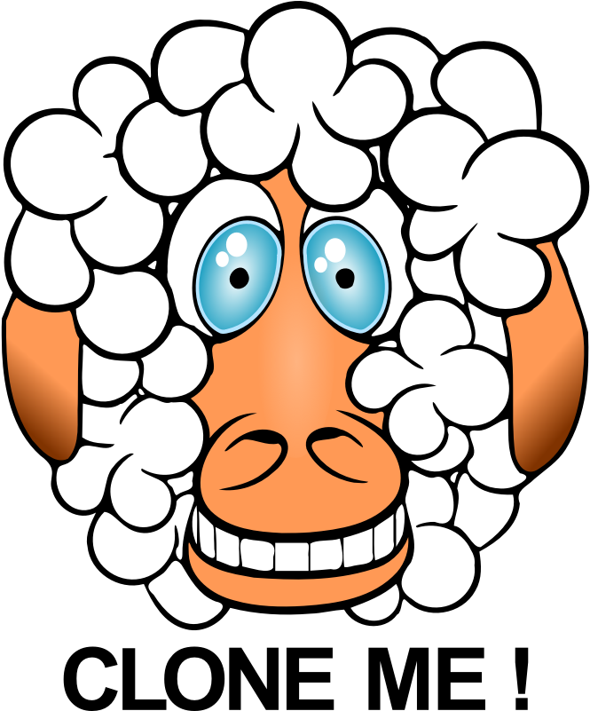 Clipart - Funny Sheep - Clipart Clone (800x800)