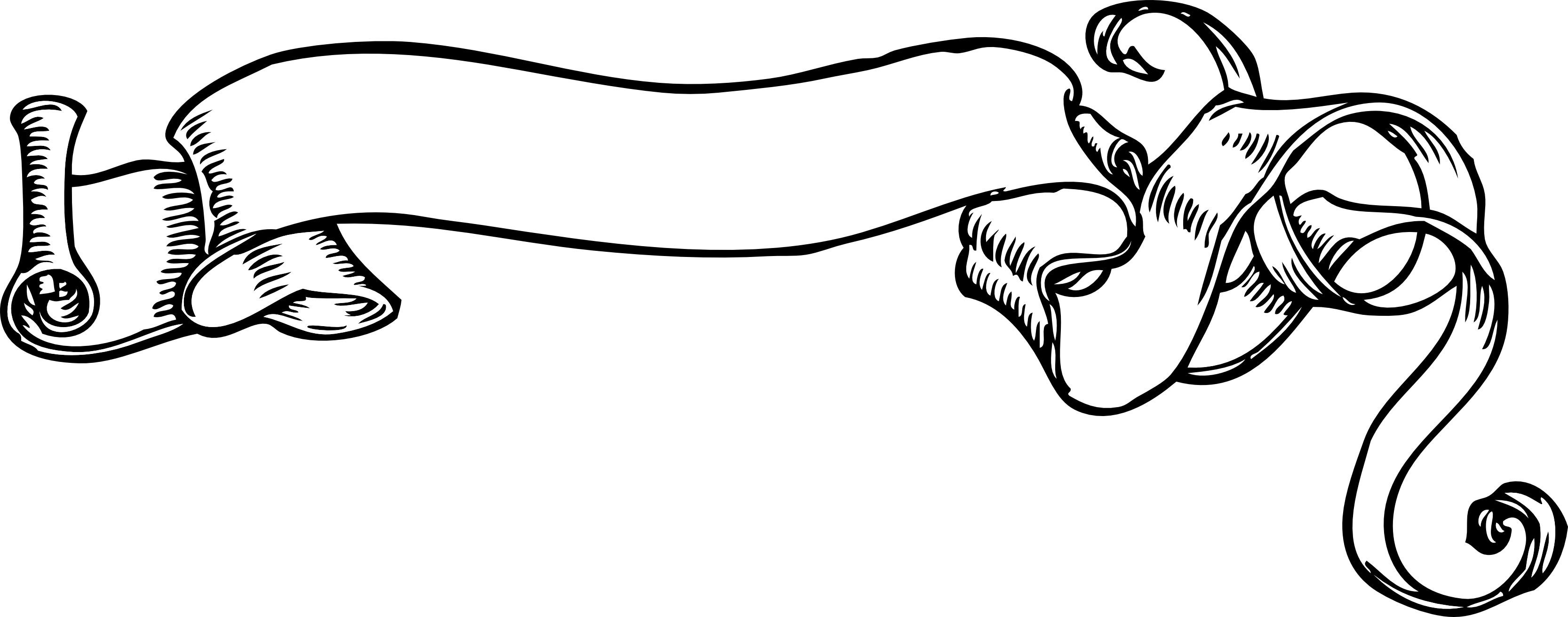 Images For Simple Scroll Border Clip Art - Coat Of Arms Scroll (3333x1311)