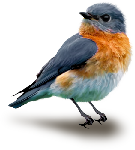 Image Du Blog Anousdeux04 - Birds Paintings Png (450x500)