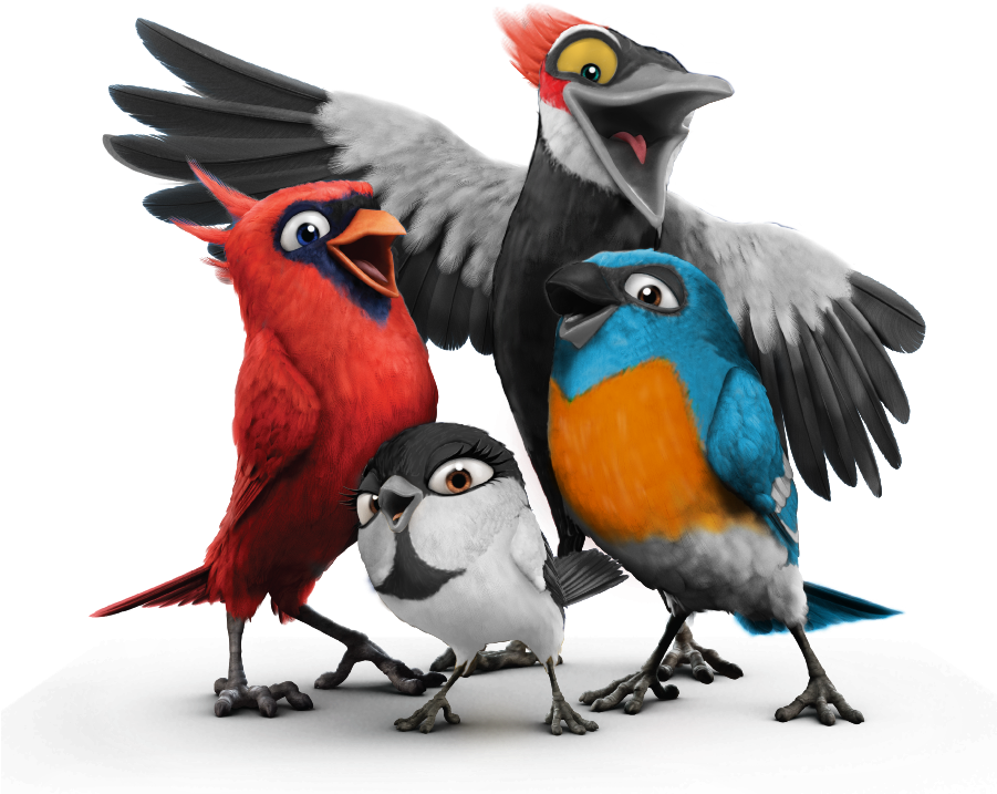 15 Of The Most Beautiful Birds In World Nature Babamail - Moving Animated Pictures Of Birds (900x900)