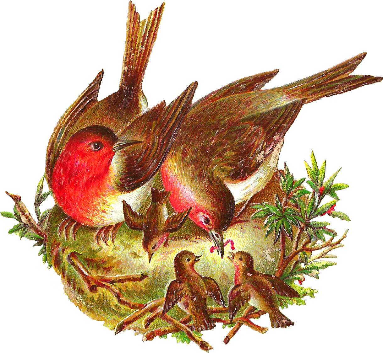 This Is An Amazing Bird Digital Graphic I Created From - Bird With Nest Png (1427x1285)