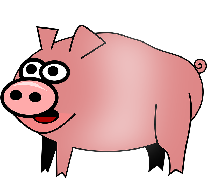 Hog Pig Animal Barnyard Farm Bacon Rural P - Hog Clipart (798x720)