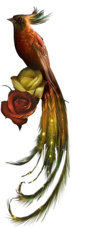 Beautiful Bird - Portable Network Graphics (350x783)