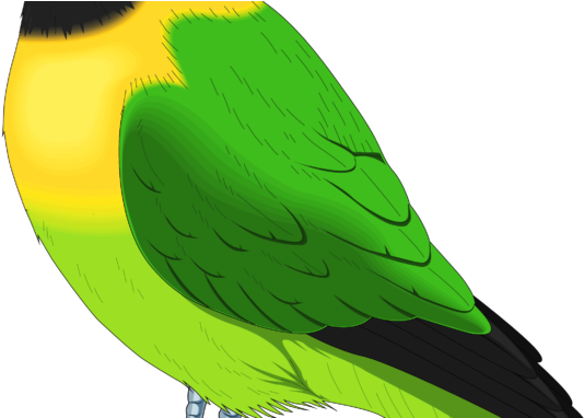 Images Free Download - Bird Hd Png (678x381)