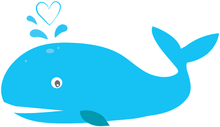 Beluga Whale Cliparts 21, - Blue Whale Whale Png (802x720)