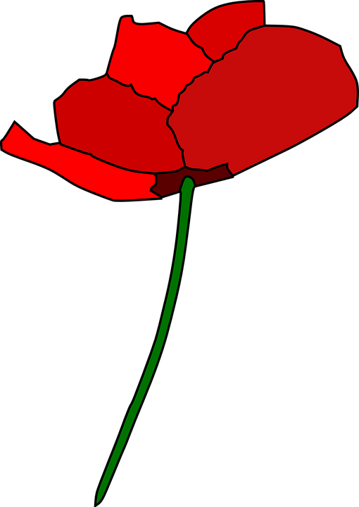 Single Rose Cliparts 11, Buy Clip Art - Cartoon Poppy Flower (510x720)