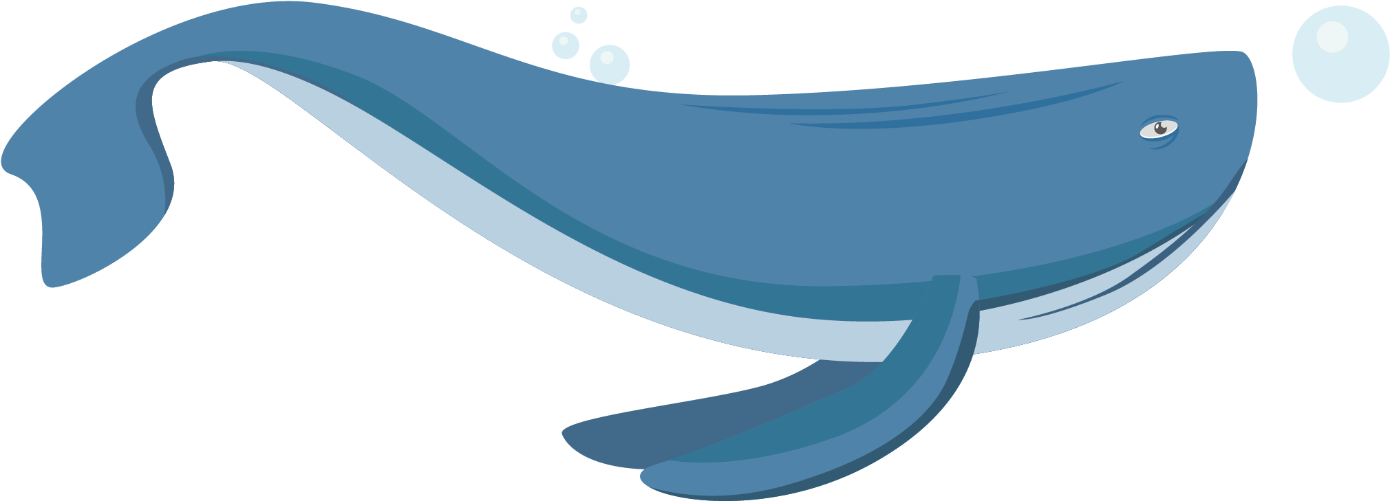 Furniture Marine Mammal - Furniture Marine Mammal (2042x1001)