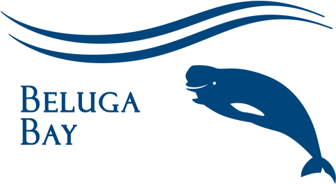 Beluga Whale Clipart Shamu - Beluga Whale (490x282)