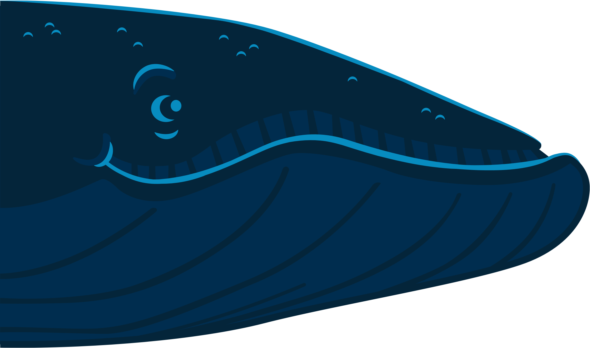 Check Out The Story Of A Language-learning Beluga Whale - Whale (2060x1216)