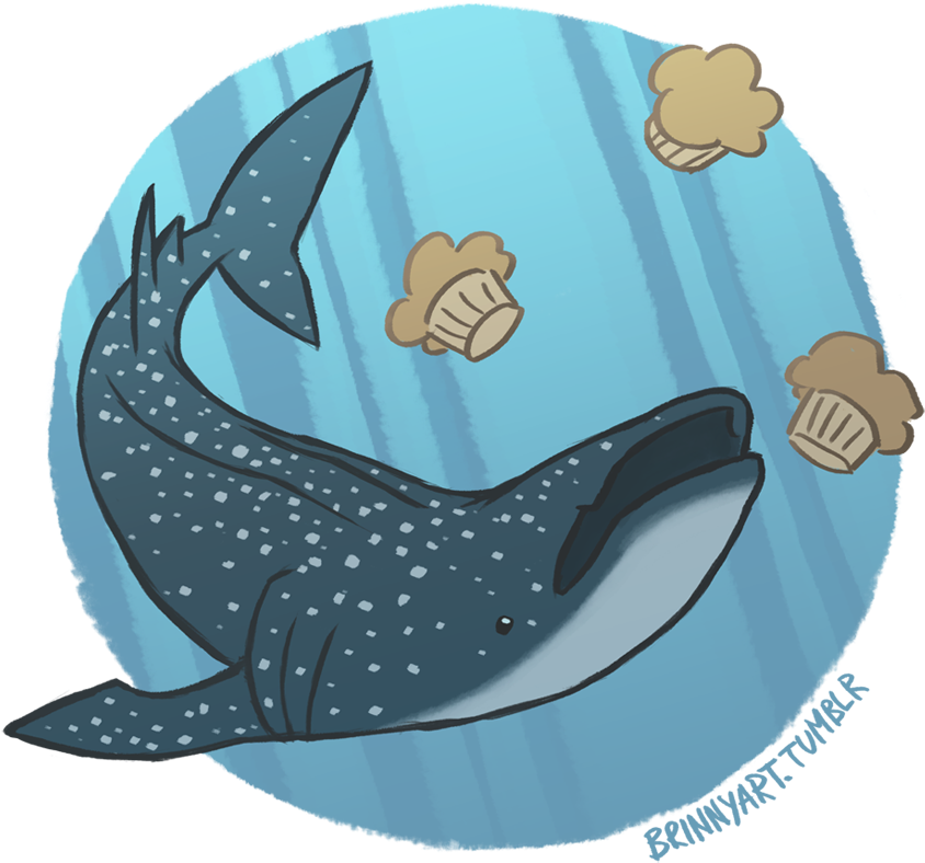 Growth Cartoon Beluga Whale Attractive Sharks Vs Belugas - Drawing (900x865)