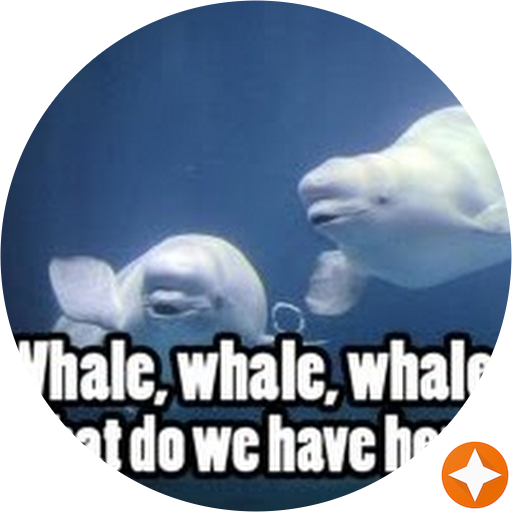 Beluga Whales (512x512)