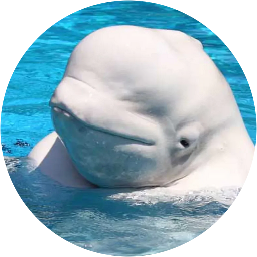 Beluga Whales (polar Animals: Life In The Freezer) (512x512)