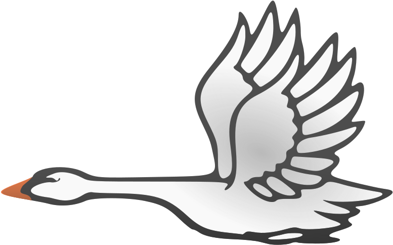 Swan In Flight - Flying Stork Shower Curtain (1000x645)
