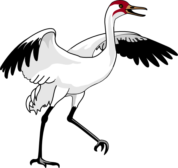 Swan 3 Svg Clip Arts 600 X 564 Px - Whooping Crane Clip Art (800x751)