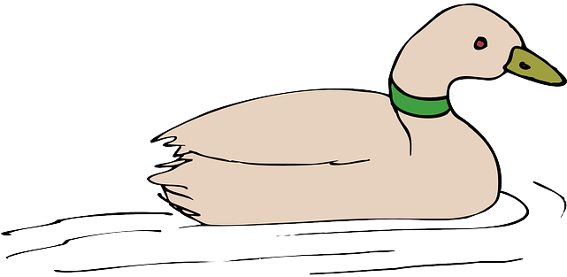 Beak Water, Bird, Duck, Swimming, Wings, Animal, Beak - Duck In Water Clip Art (640x320)