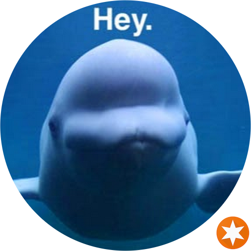 Beluga Whale (512x512)