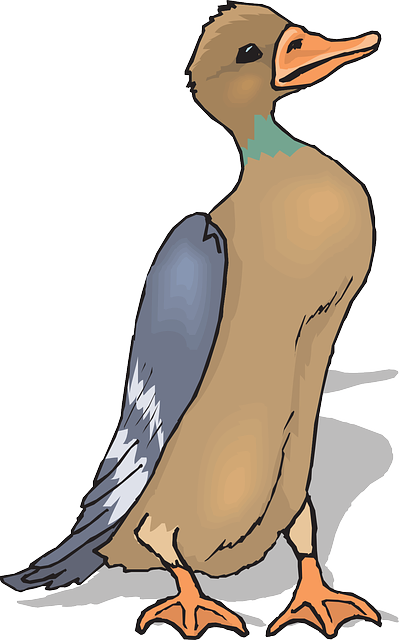 Feathers Brown, Bird, Duck, Wings, Standing, Animal, - Bebek Vektor Png (399x640)