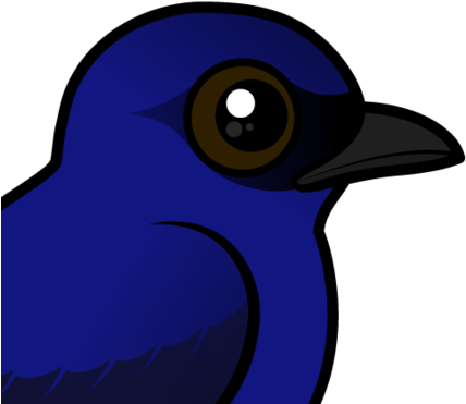 About The Purple Martin - Purple Martin (440x440)