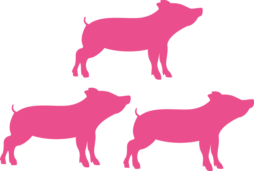 Feed That Is Used To Produce The Piglet But Also Feed - Feed That Is Used To Produce The Piglet But Also Feed (859x581)