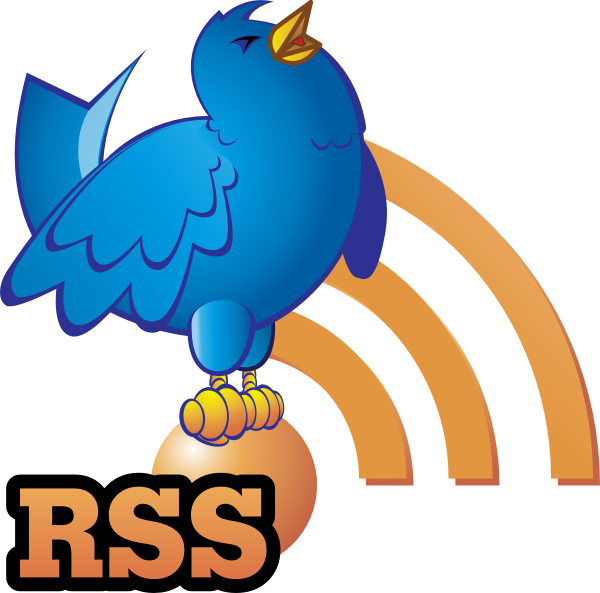 Free Vector Twitter Bird Icon Vector - Twitter Bird (600x593)