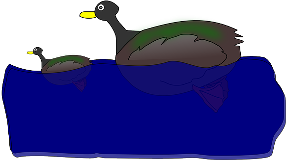Duckling, Bath, Swimming, Comic, Cartoon - Bath (640x325)