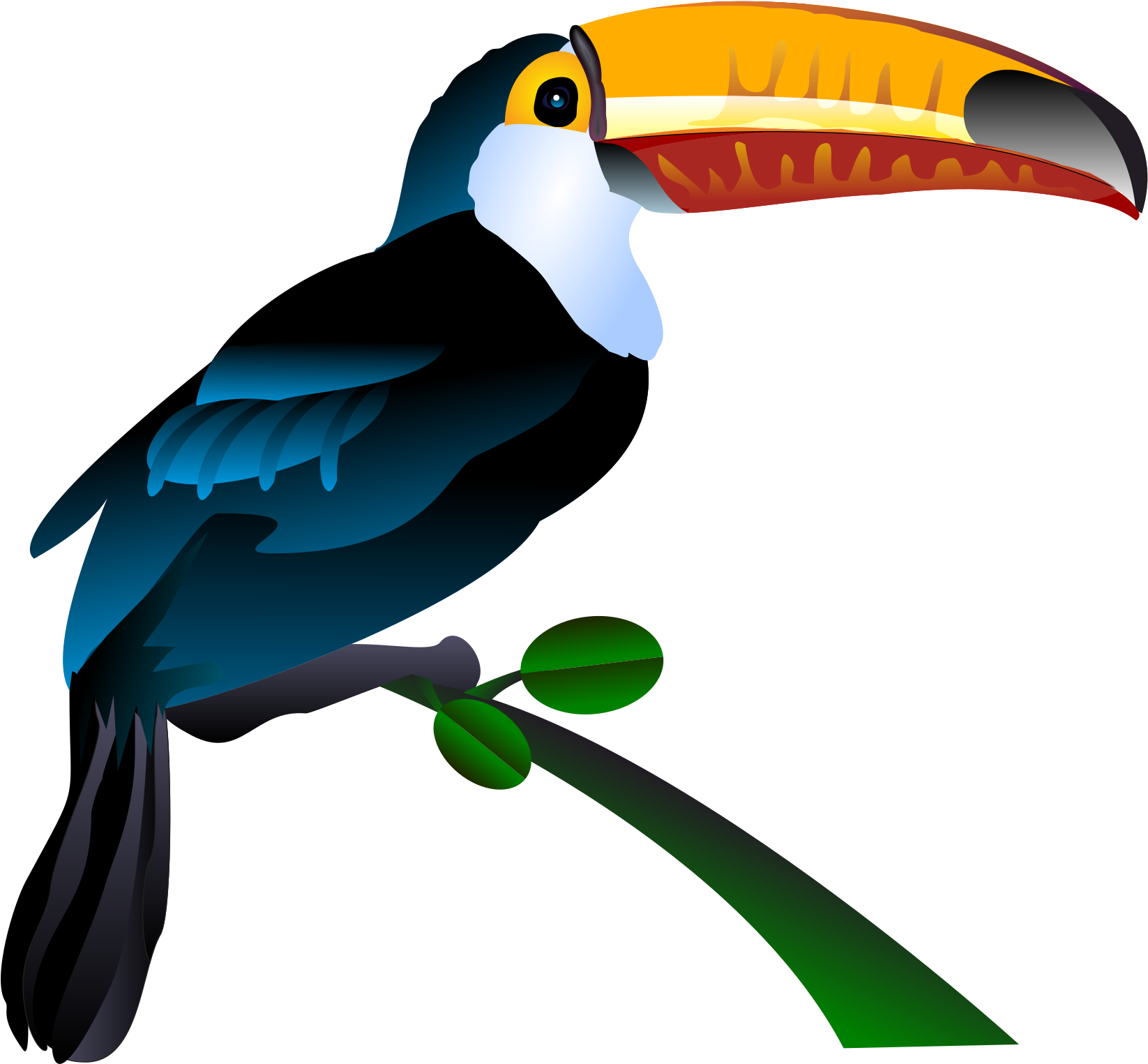 Free Photos > Vector - Toucan Clipart (1697x2400)