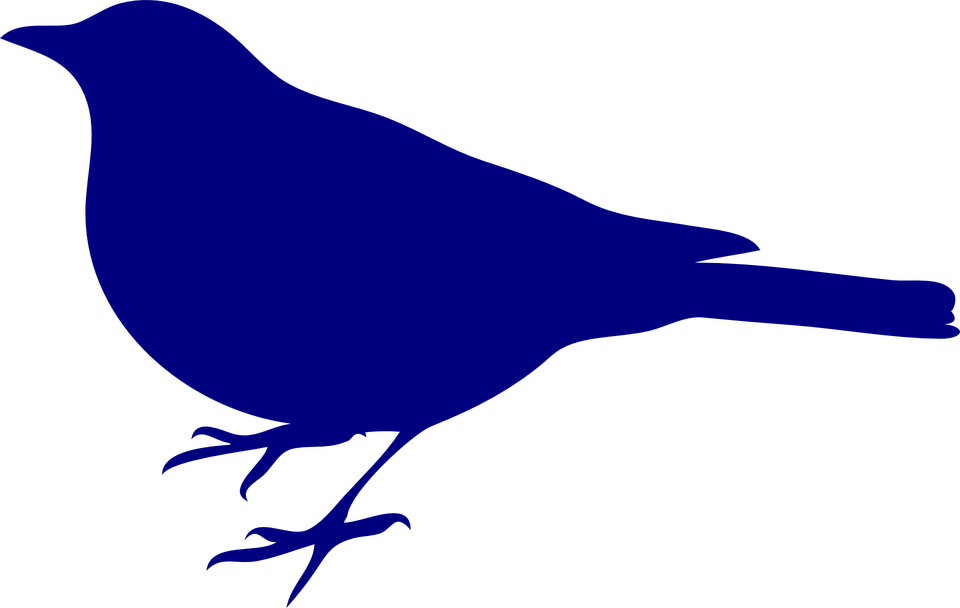 Bird Vector - Bird Silhouette Clip Art (1280x810)