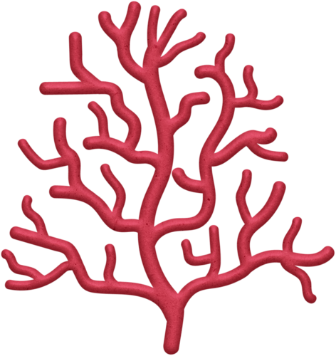 Coral - Coral Png (472x500)