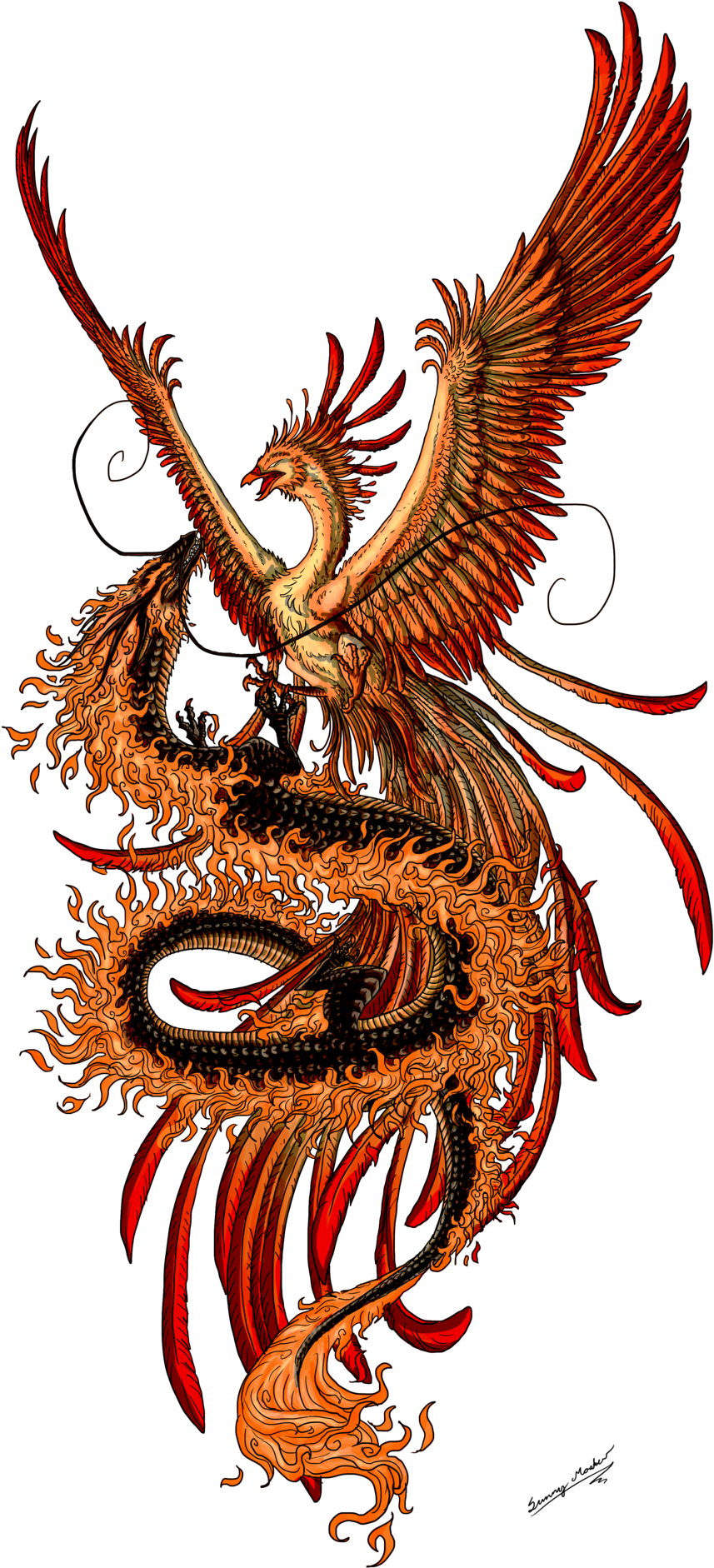 Phoenix Tattoo Design Picture - Phoenix And Dragon (900x1943)