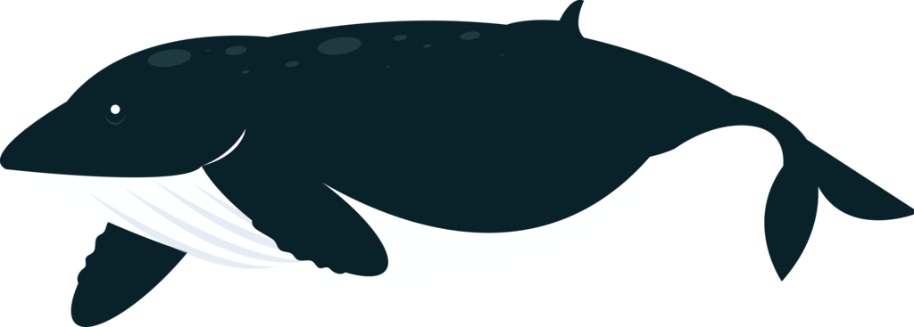 More Than 5 Trillion Pieces Of Plastic Are In Our Oceans, - More Than 5 Trillion Pieces Of Plastic Are In Our Oceans, (1024x367)