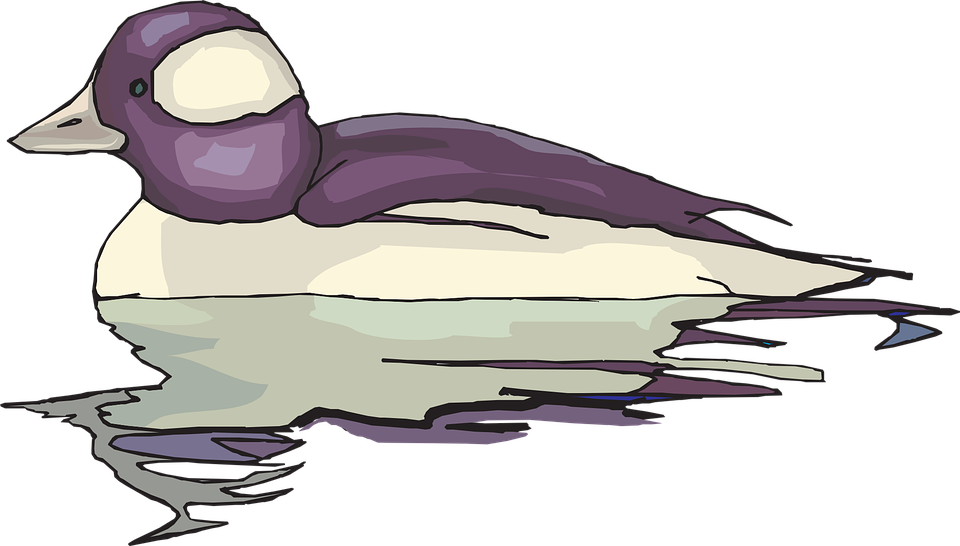 White And Purple Swimming Duck Clip Art At Clker - Yansıma Resim Çizimi (960x546)